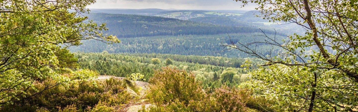 Wandern - SV Elbland Coswig Meißen